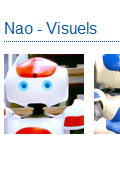 Aldebaran Robotics Nao