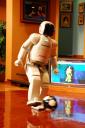 Honda Asimo Disney