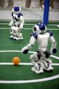 aldebaran-robotics-newsletter-aout-2008-02-picturesNorthemBites2