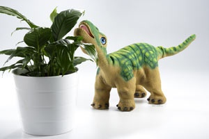 Pleo Robot Dinosaure #10