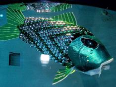 ⚡ Un robot-poisson pour détecter la pollution