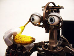 Robot Epluche Banane #1