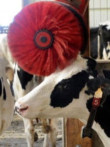 Ferme et Agriculteurs assistés par des Robots #2