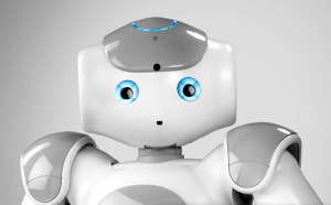 Nao Grey Developer Program #3