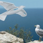 Smartbird de Festo - Robot Oiseau #1