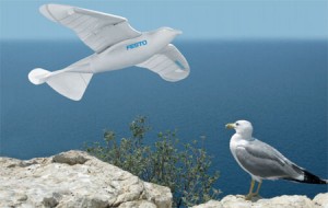 Smartbird de Festo - Robot Oiseau #1