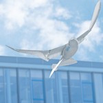 Smartbird de Festo - Robot Oiseau #2