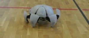 Morphex - Robot Hexapod qui Roule #1