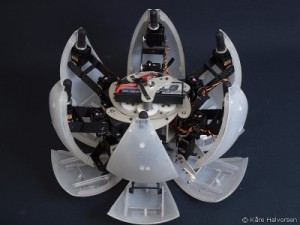 Morphex - Robot Hexapod qui Roule #3