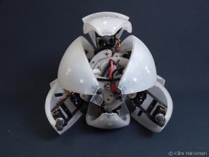 Morphex - Robot Hexapod qui Roule #4