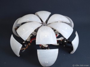 Morphex - Robot Hexapod qui Roule #5