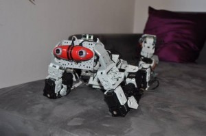 Apérobo 26 - Robot Rao #1